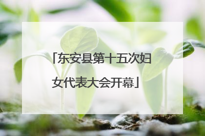 东安县第十五次妇女代表大会开幕